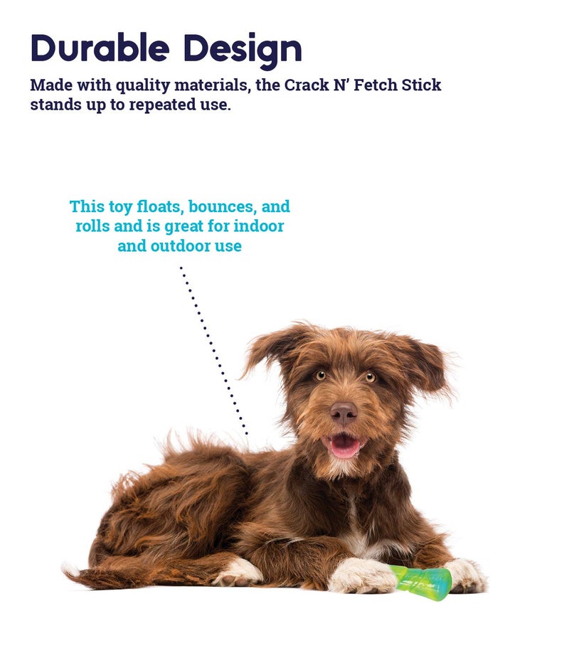 Petstages Crack N' Fetch - Fun Sound for Fun Fetch Play, Large - Image 4